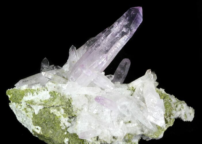 Amethyst Crystal Cluster - Las Vigas, Mexico #31502